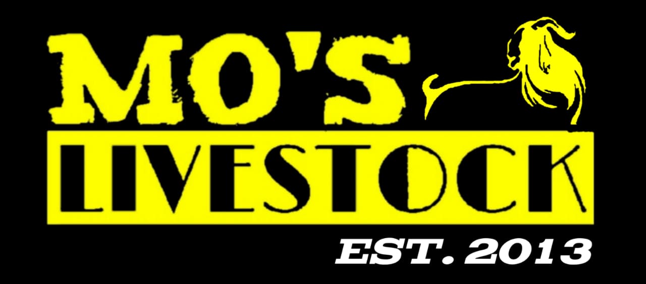 Mo’s Livestock